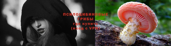 ешки Алзамай