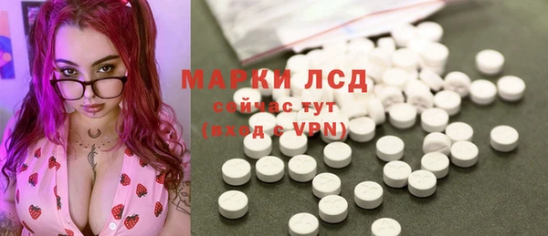 гашик Няндома